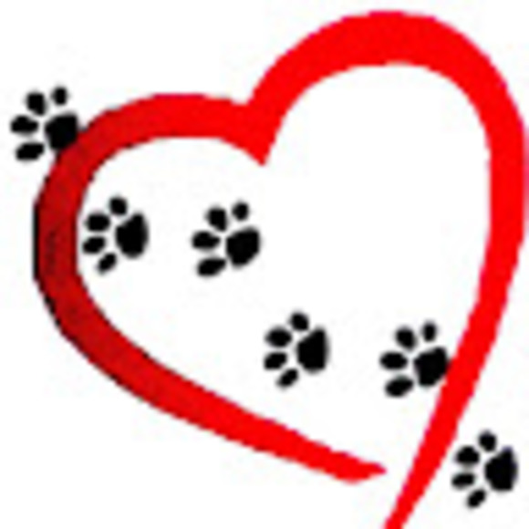 Meet your Posher, Jamie - Picture 1 of 1